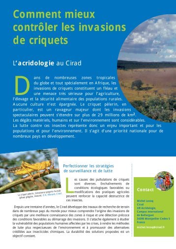 Comment mieux contrÃ´ler les invasions de criquets - Cirad