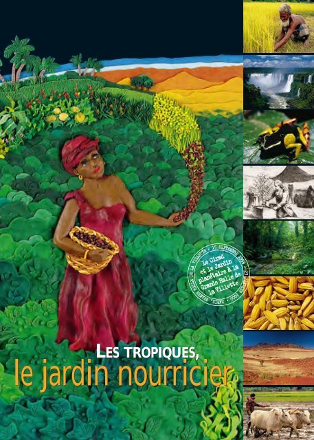 Les tropiques, jardin nourricier - Cirad