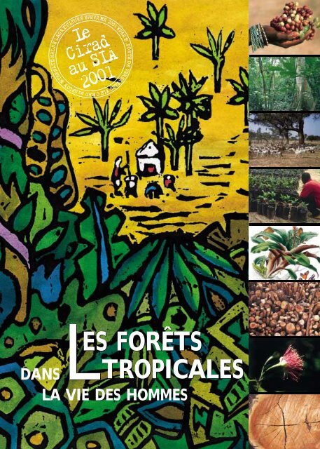 Les forÃªts tropicales dans la vie des hommes - Cirad