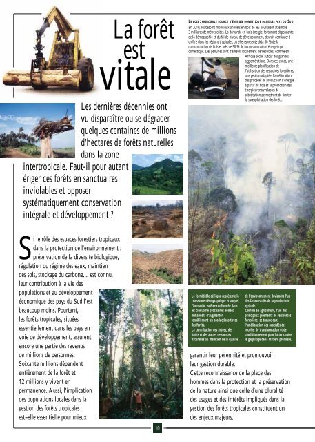 Les forÃªts tropicales dans la vie des hommes - Cirad