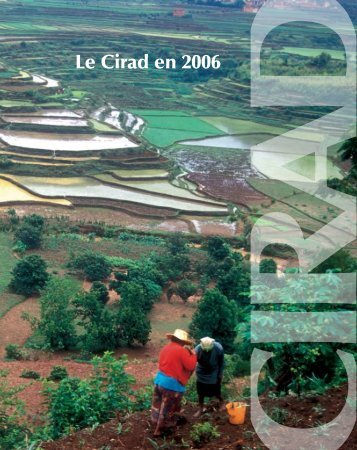 Le Cirad en 2006