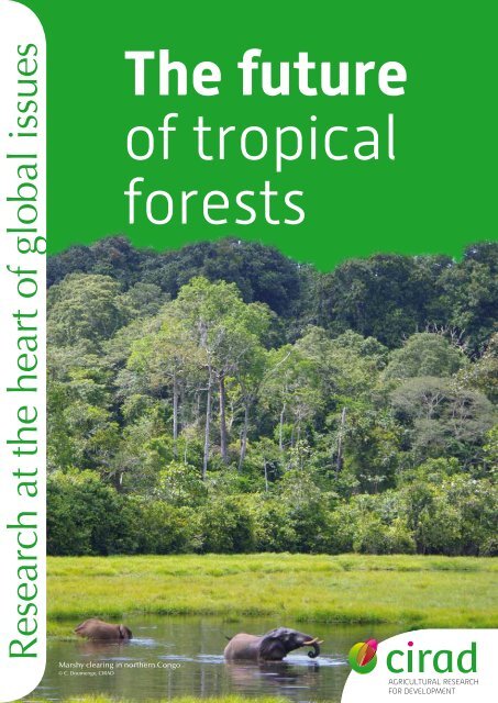 The future of tropical forests - Cirad