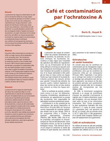 CafÃ© et contamination par l'ochratoxine A - Cirad