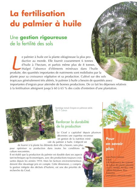 La fertilisation du palmier Ã  huile - Cirad