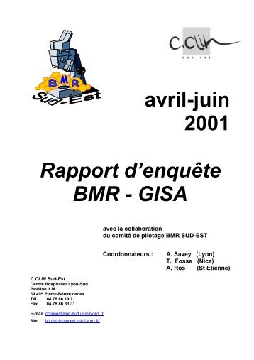 avril-juin 2001 Rapport d'enquête BMR - GISA - CClin Sud-Est