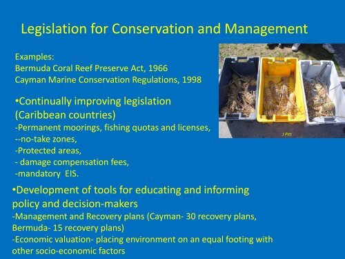Coral Reefs in the UK Overseas Territories: Status and ... - JNCC