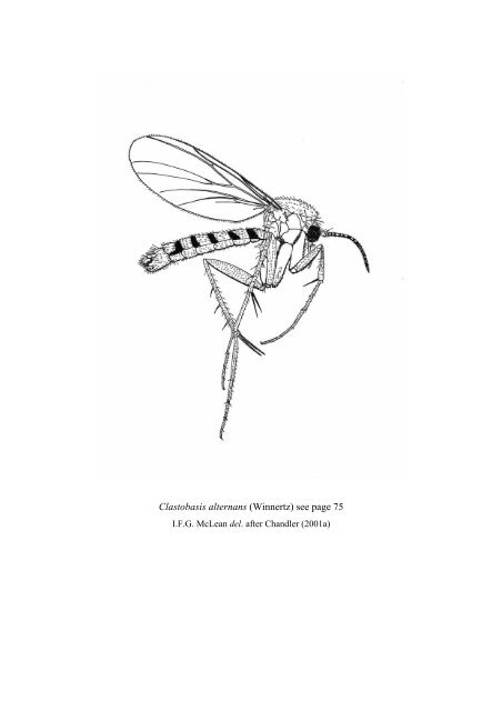 Part 2: Nematocera and Aschiza not dealt with by Falk (1991) - JNCC