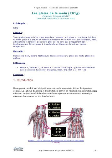 Version PDF - PÃ´le SantÃ© de Grenoble