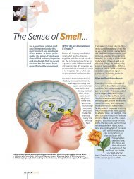 The Sense of Smell - Leffingwell & Associates