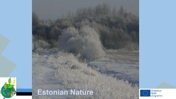 Estonian Nature