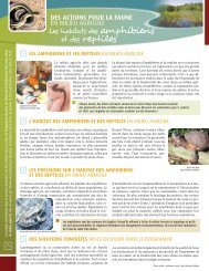 Les habitats des amphibiens et des reptiles - Fondation de la faune ...