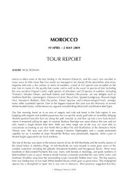 MOROCCO REP 09 - Birdquest