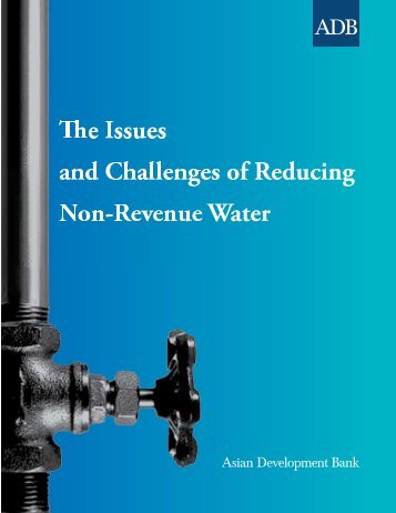 The Issues and Challenges of Reducing Non-Revenue Water