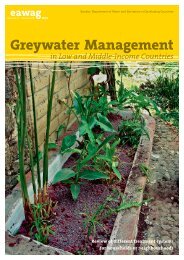 Greywater Management in Low and Middle-Income Countries - SSWM