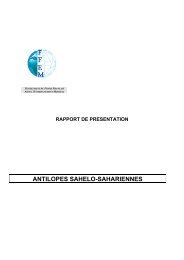 Rapport presentation.. - KBIN