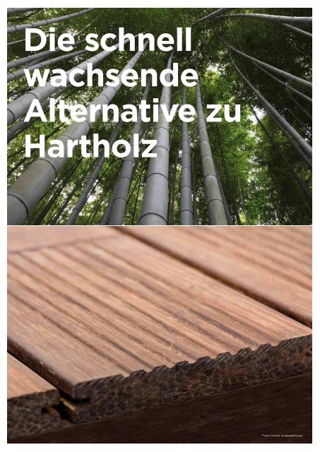 bamboo x-treme Terrassendielen - die nÃ¤chste Generation