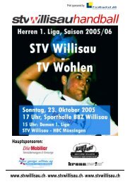 Hauptsponsoren - STV Willisau