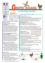 Fiche gÃ©nÃ©rale sur la grippe aviaire (zoonose)