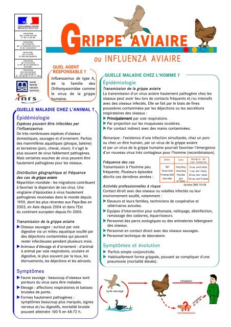 Fiche gÃ©nÃ©rale sur la grippe aviaire (zoonose)