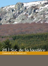 28 | Suc de la lauziÃ¨re - Vacances en Auvergne
