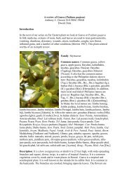 A review of Guava (Psidium guajava) - Dweck Data