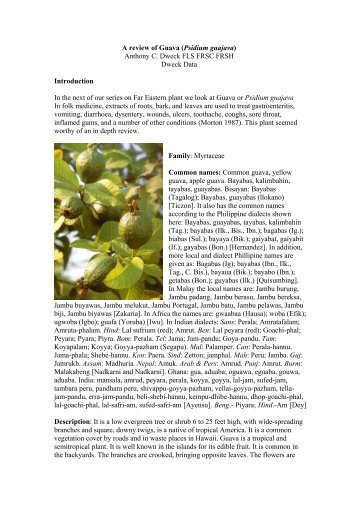 A review of Guava (Psidium guajava) - Dweck Data
