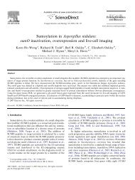 Sumoylation in Aspergillus nidulans: sumO inactivation ...