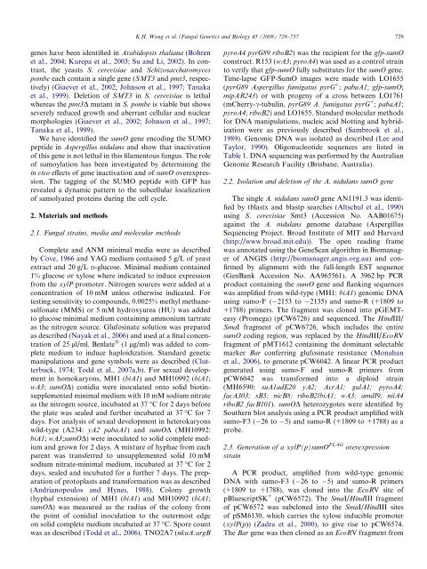 Sumoylation in Aspergillus nidulans: sumO inactivation ...