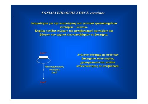 Î Î±Î½Î¬Î³ÎºÎ· ÏÏÎ®ÏÎ·Ï ÏÏÏÏÏÏÏÎ½ Î¼Î¹ÎºÏÎ¿Î²Î¹Î±ÎºÏÎ½ ÏÏÏÏÎ·Î¼Î¬ÏÏÎ½ ÏÏÎ· Î¼ÎµÎ»Î­ÏÎ· ...