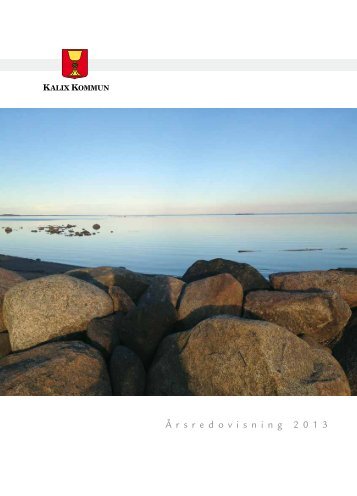 Årsredovisning 2013