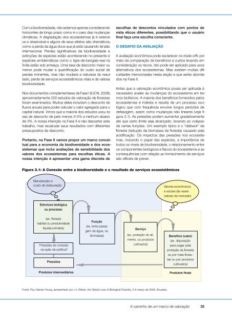 A economia dos ecossistemas e da biodiversidade - TEEB