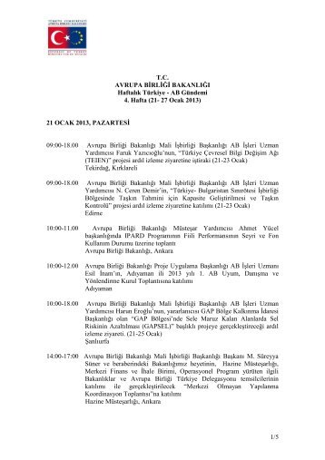21-27 Ocak 2013 - Avrupa BirliÄi BakanlÄ±ÄÄ±