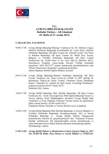 DEVLET BAKANLIÄI - Avrupa BirliÄi BakanlÄ±ÄÄ±