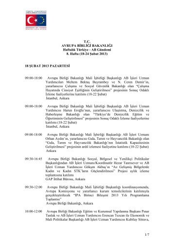 DEVLET BAKANLIÄI - Avrupa BirliÄi BakanlÄ±ÄÄ±