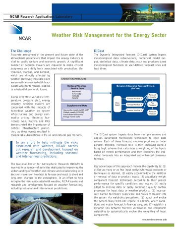 Weather Risk Management for the Energy Sector - RAL