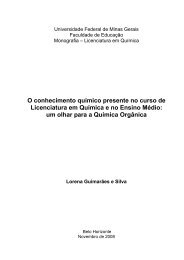 Monografia - cecimig - Universidade Federal de Minas Gerais