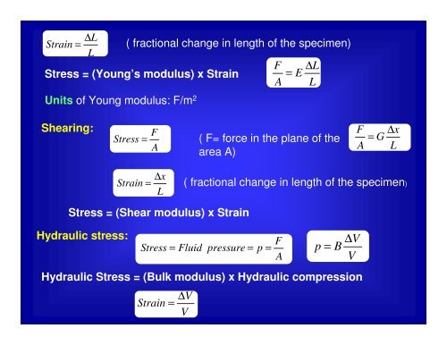 Chapter 11 â Equilibrium and Elasticity - UCF Physics