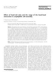 Effect of head-tail ratio and the range of the head-head interaction in ...