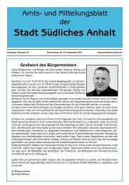Amtsblatt Nr.19 - Stadt SÃ¼dliches Anhalt