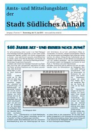 Amtsblatt Nr. 11 - Stadt SÃ¼dliches Anhalt
