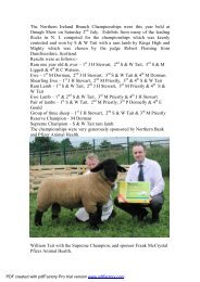 Branch Championships - Suffolk Sheep Society