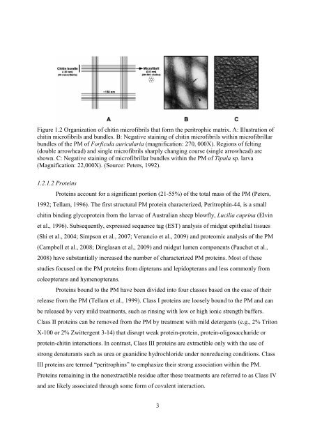 Phd Thesis 33 - eCommons@USASK - University of Saskatchewan