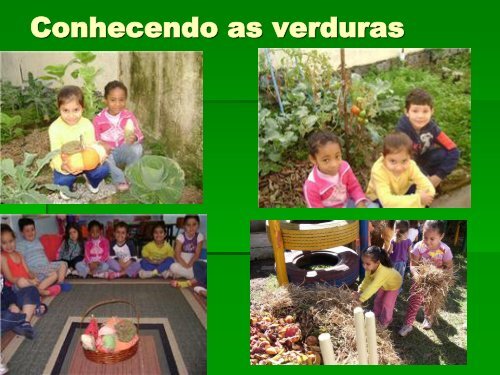 PROJETO EDUCANDO COM A HORTA: CORES AROMAS E ...