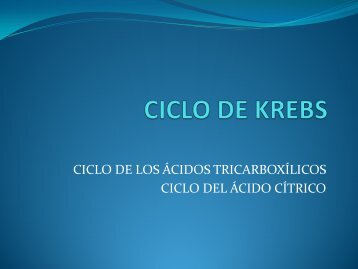 CICLO DE LOS ÁCIDOS TRICARBOXÍLICOS CICLO DEL ÁCIDO CÍTRICO