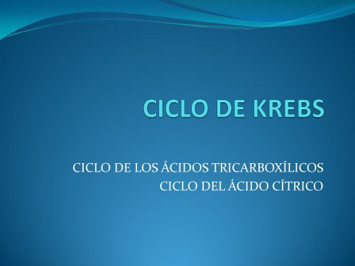 CICLO DE LOS ÁCIDOS TRICARBOXÍLICOS CICLO DEL ÁCIDO CÍTRICO