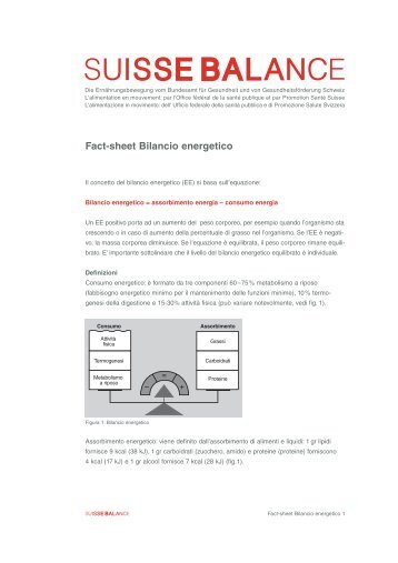 Fact-sheet Bilancio energetico - Suisse Balance