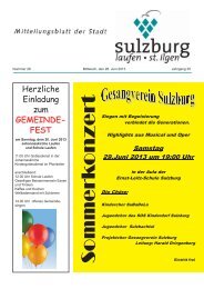 S o m m e rk o n ze rt - Gemeinde Sulzburg