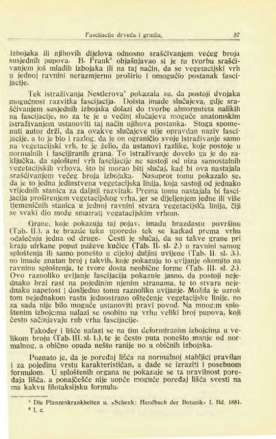 Å UMARSKI LIST 2/1924