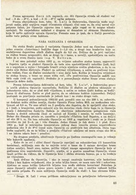 Å UMARSKI LIST 1-2/1955