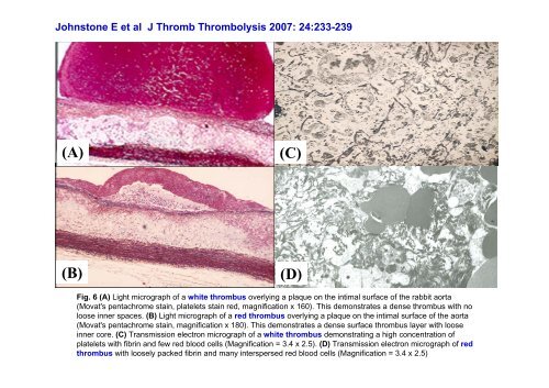 On Topaz MD, FACC, FSVM - summitMD.com